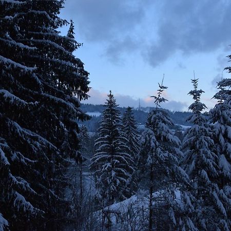 Willa Franciszek Zakopane Exteriör bild