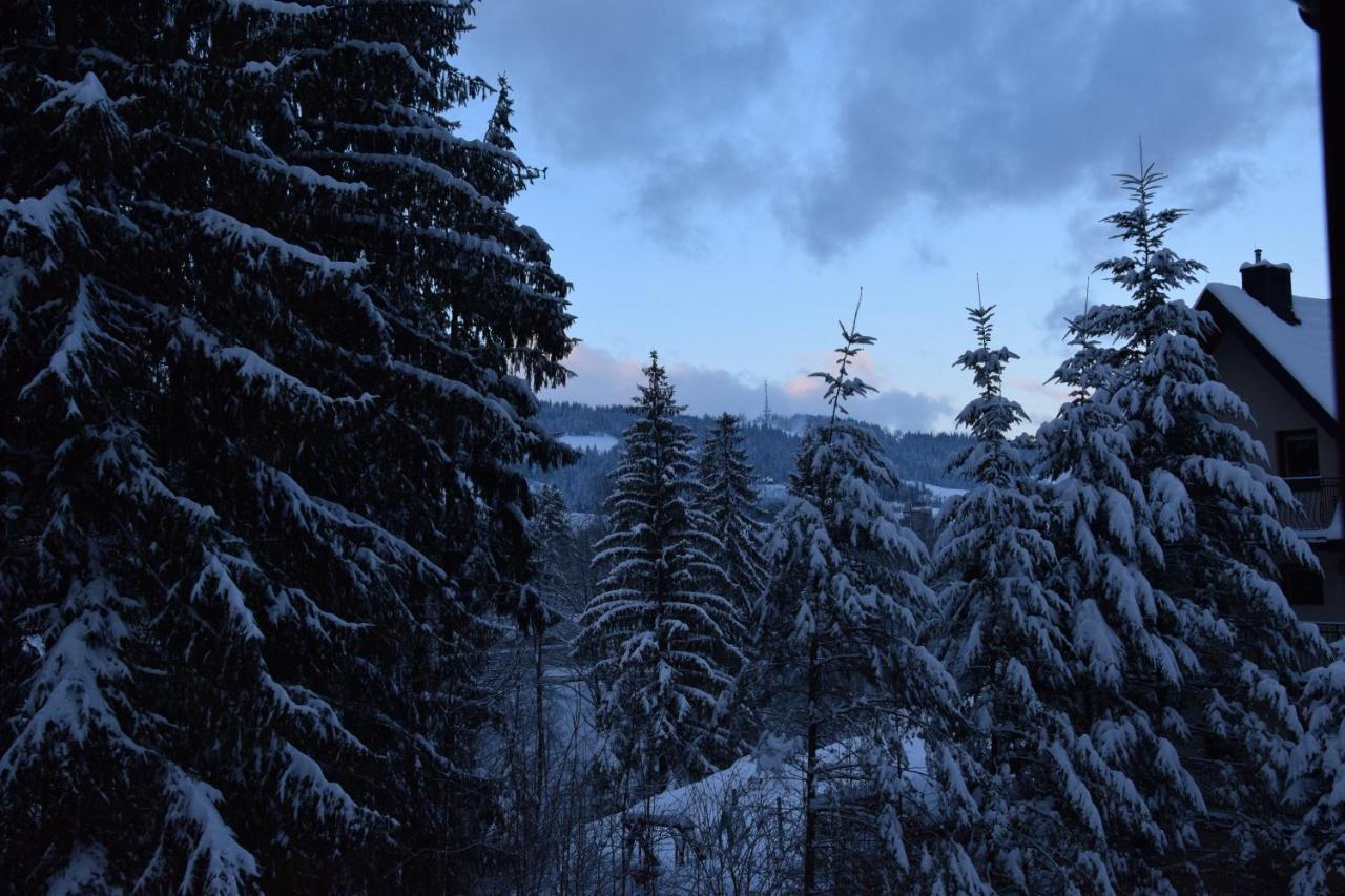 Willa Franciszek Zakopane Exteriör bild
